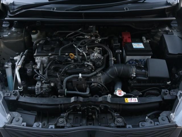 25268217_carP_l_17.jpg