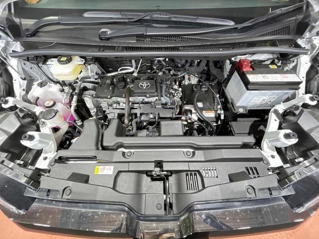 25487293_carP_l_18.jpg