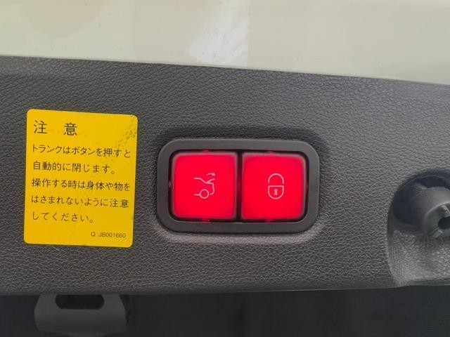 27071924_carP_l_4.jpg