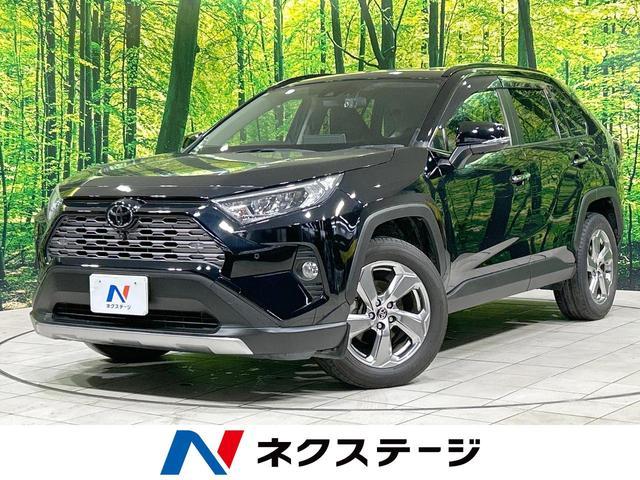 24995217_carP_l_1.jpg
