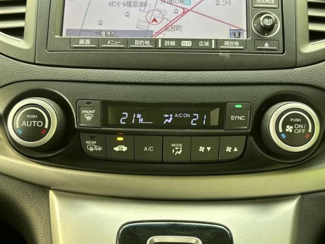 24345758_carP_l_7.jpg