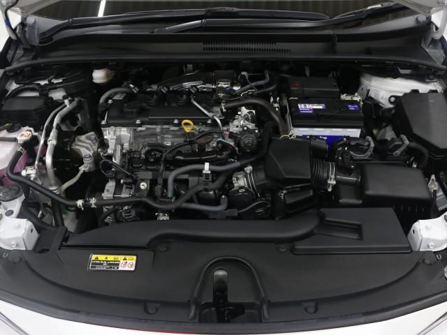25268221_carP_l_17.jpg