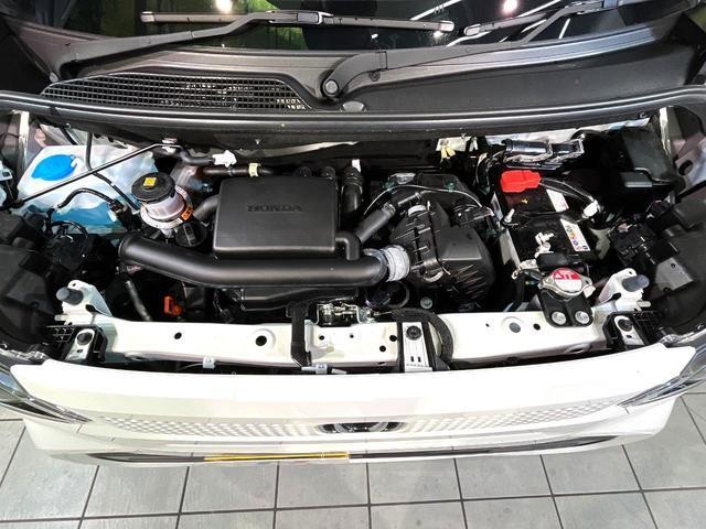 24581916_carP_l_16.jpg