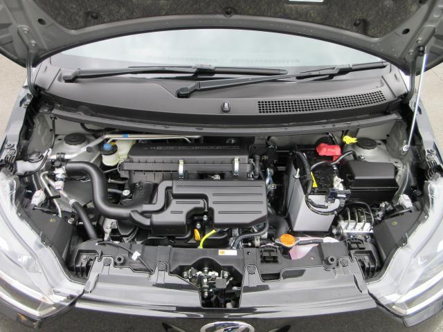 24439831_carP_l_17.jpg