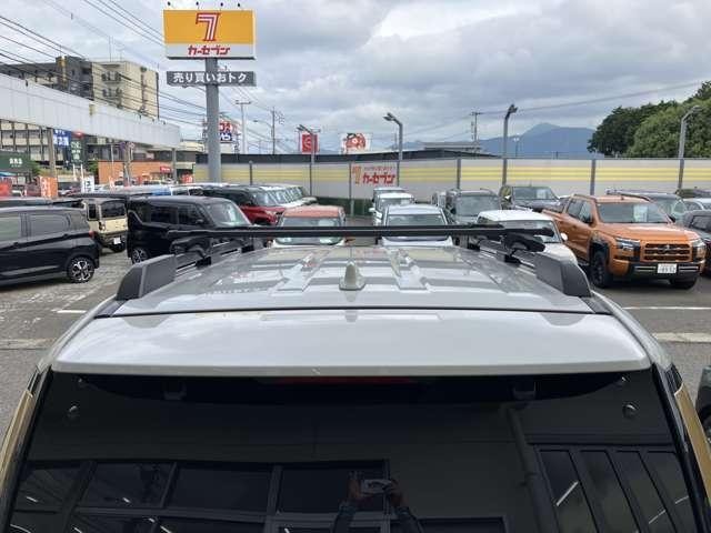 24949723_carP_l_11.jpg