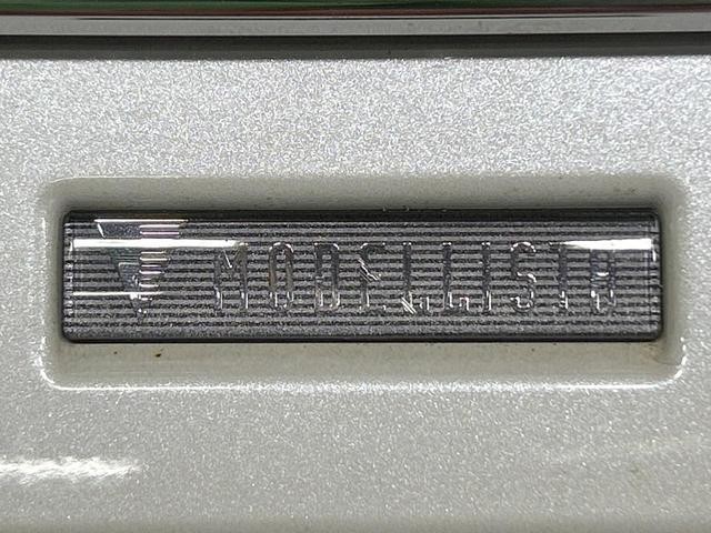 25487299_carP_l_15.jpg