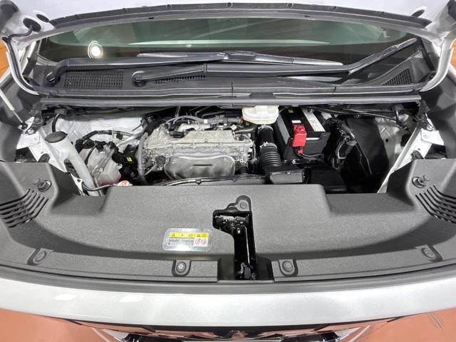 25487299_carP_l_18.jpg