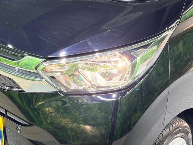 25506976_carP_l_6.jpg