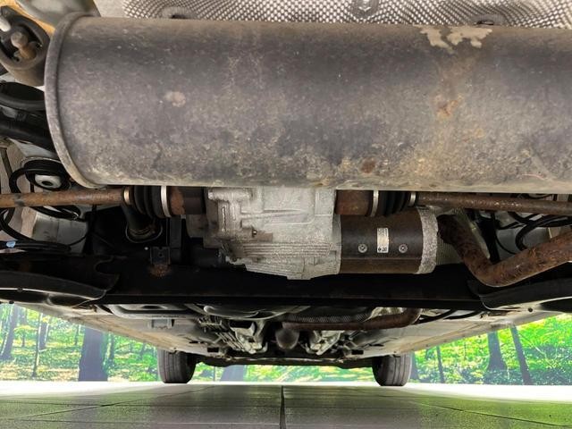 25344428_carP_l_18.jpg