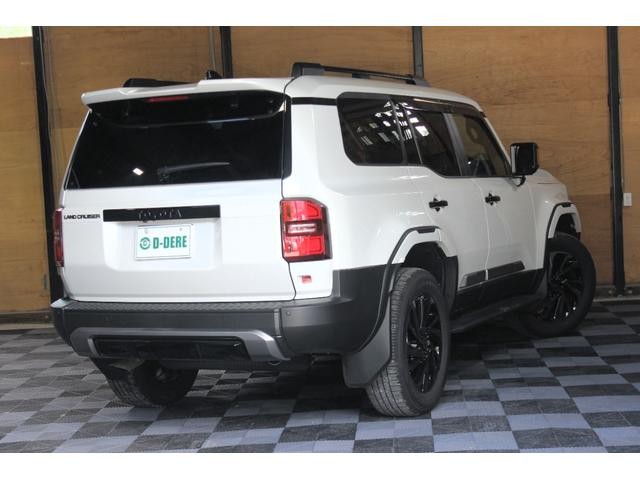 0301934A30260923W00117.jpg