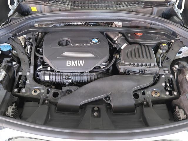 24948082_carP_l_8.jpg
