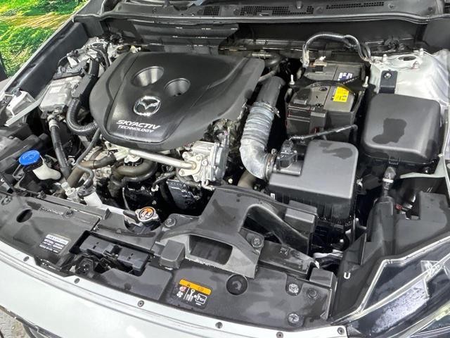 26230864_carP_l_18.jpg