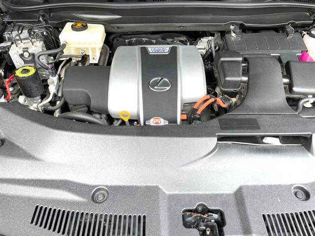 24933016_carP_l_12.jpg