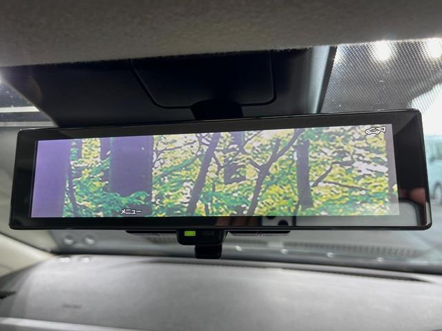 24090418_carP_l_13.jpg