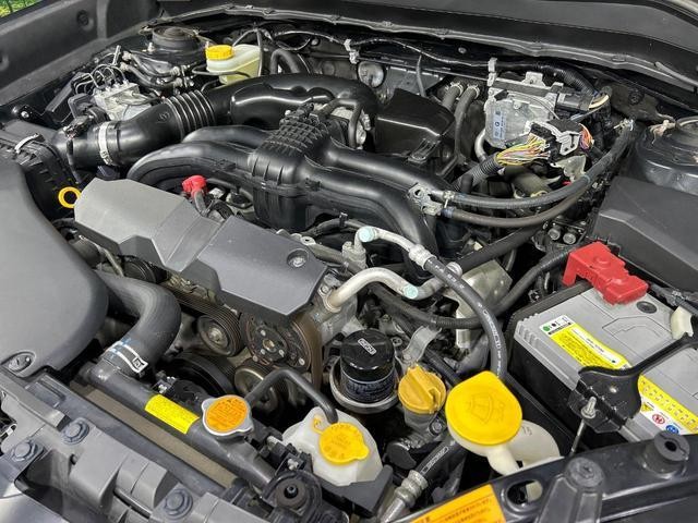 26446479_carP_l_20.jpg