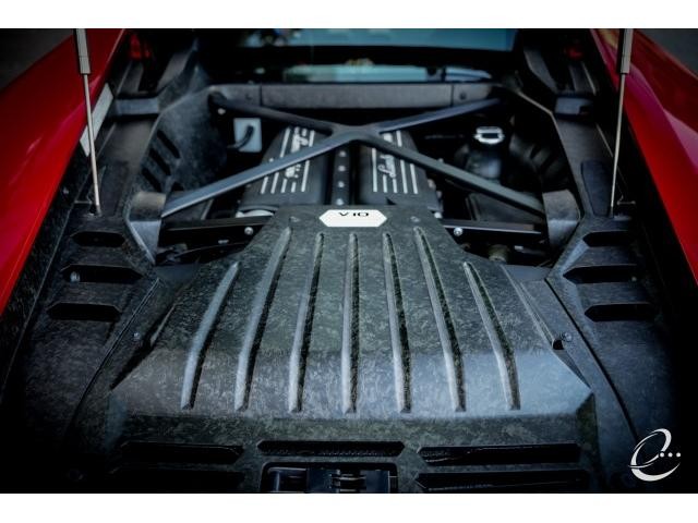 25226034_carP_l_13.jpg