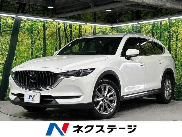 26469005_carP_l_1.jpg