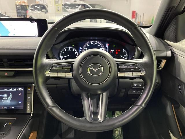26126894_carP_l_6.jpg