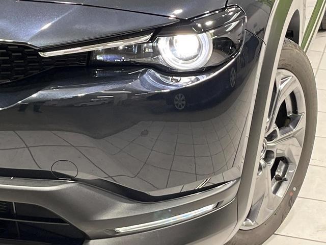 26126894_carP_l_7.jpg