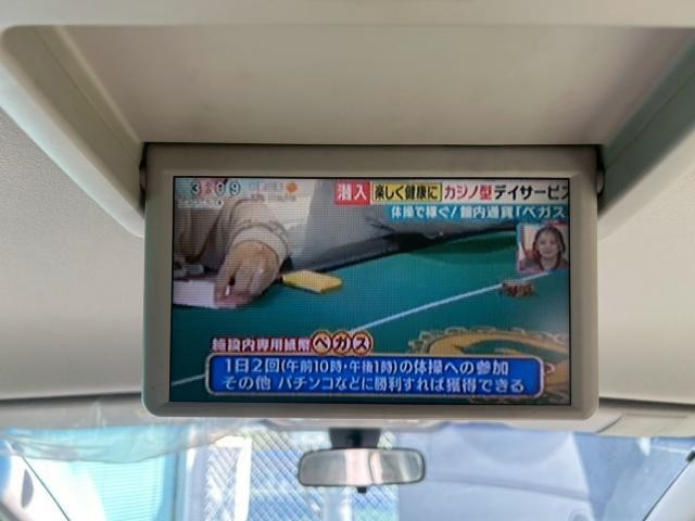 25184190_carP_l_14.jpg