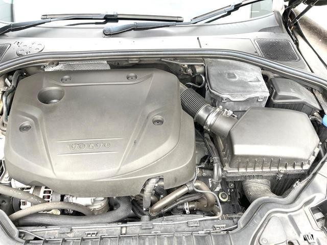 26925066_carP_l_20.jpg