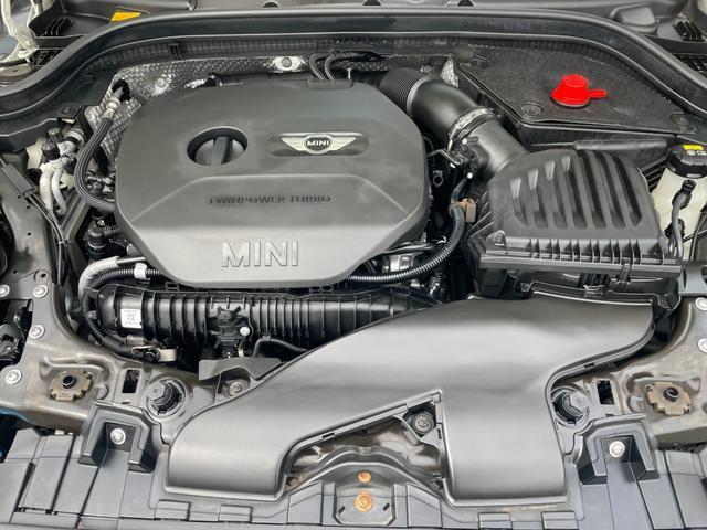 22832196_carP_l_12.jpg