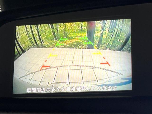 23576198_carP_l_4.jpg