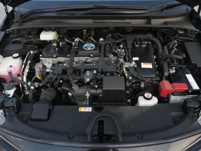 26069437_carP_l_17.jpg