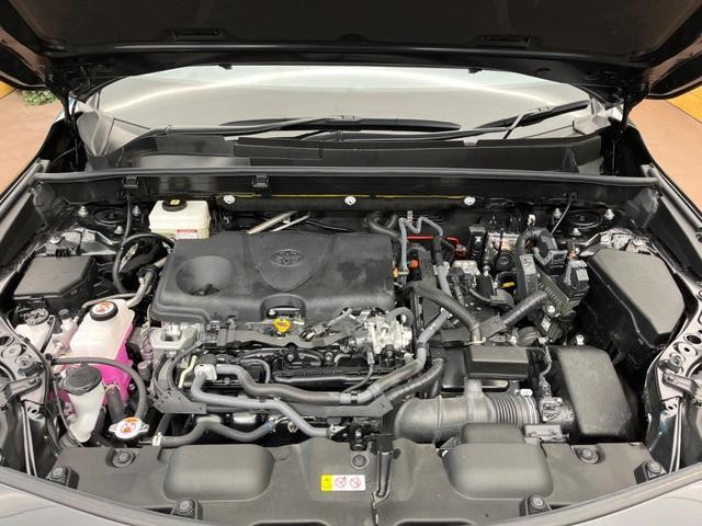 24953073_carP_l_20.jpg