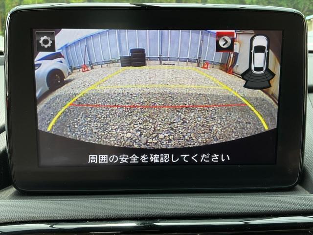 24927945_carP_l_12.jpg