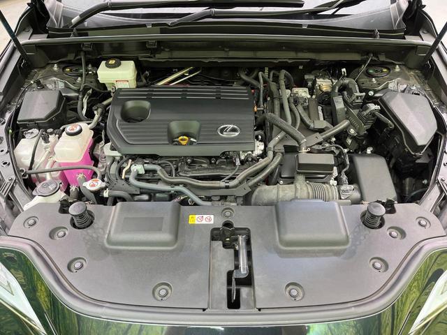 23925267_carP_l_18.jpg