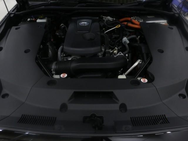 25890188_carP_l_17.jpg