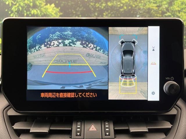 24953074_carP_l_4.jpg