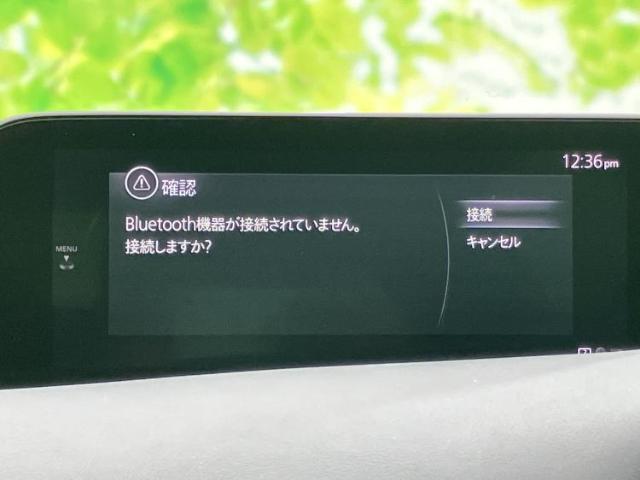23560809_carP_l_5.jpg