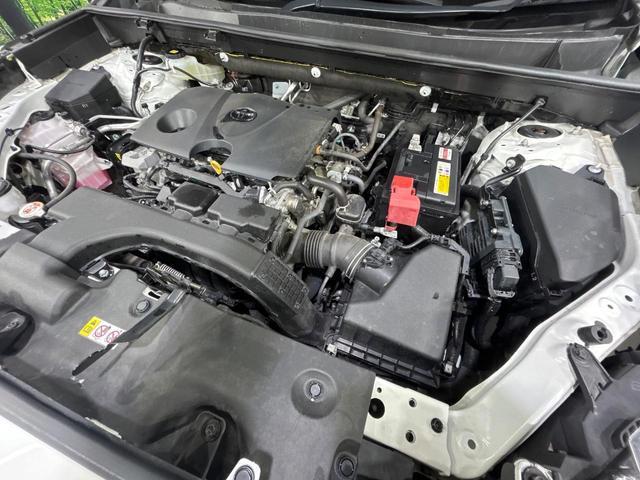 24401609_carP_l_20.jpg