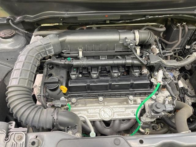 24625229_carP_l_16.jpg