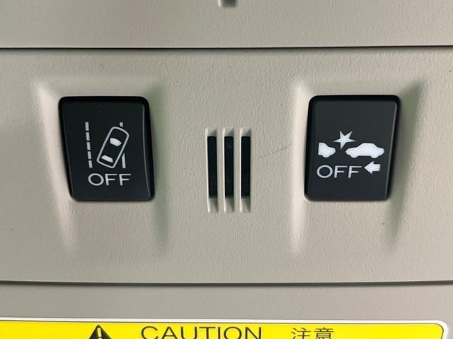 24767700_carP_l_14.jpg