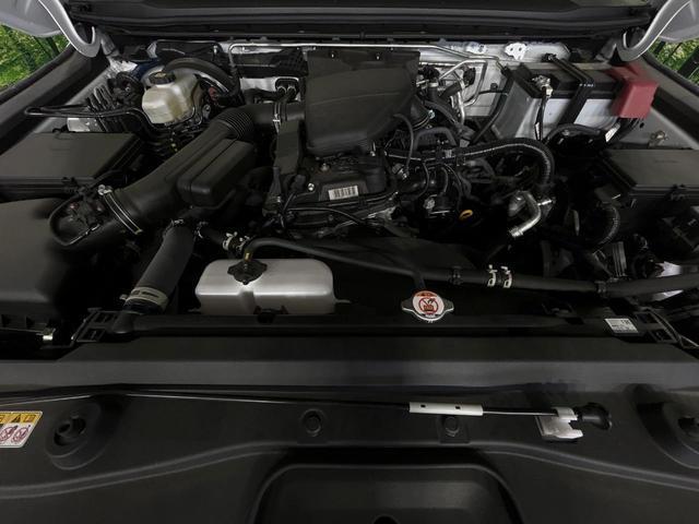 24280555_carP_l_18.jpg