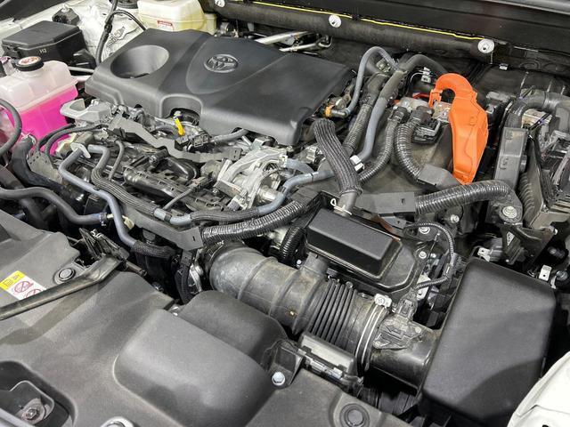 24441299_carP_l_18.jpg