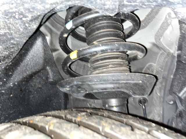 26425065_carP_l_20.jpg