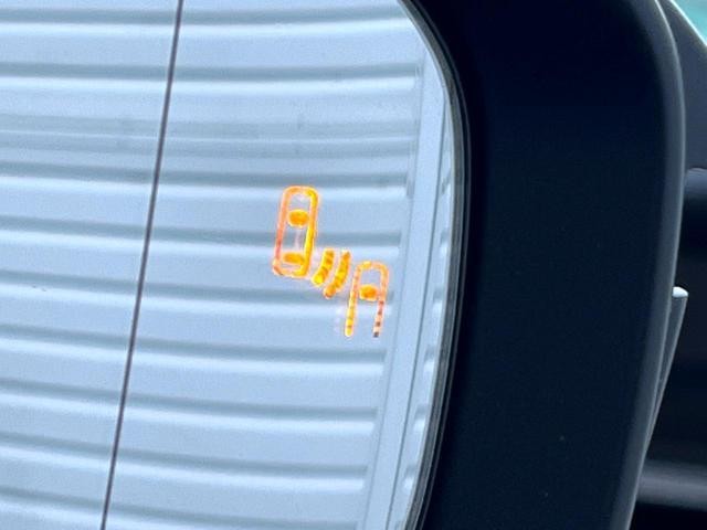 25591897_carP_l_14.jpg