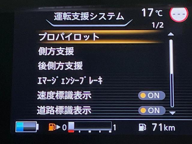 23396849_carP_l_4.jpg