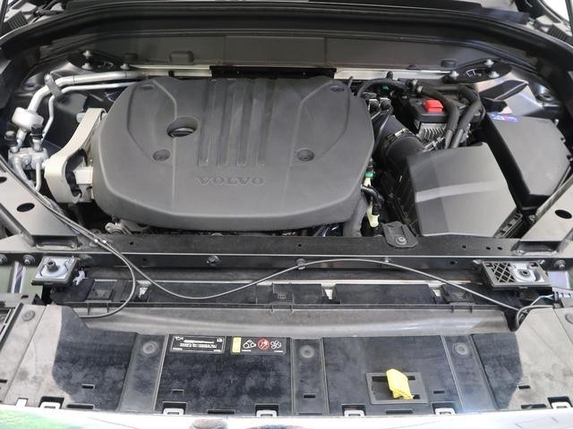 24953119_carP_l_20.jpg