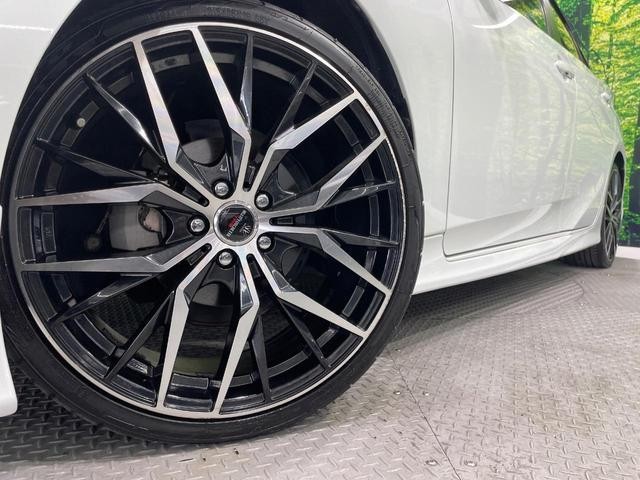 26085112_carP_l_8.jpg