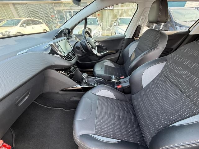 25441049_carP_l_12.jpg