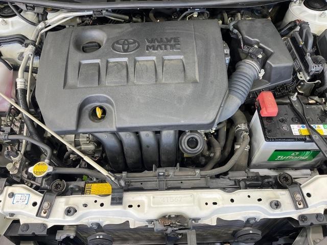 26425489_carP_l_18.jpg