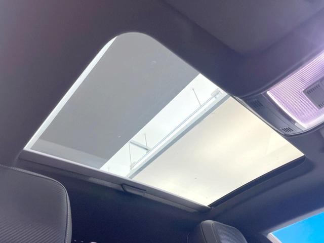 26105794_carP_l_4.jpg