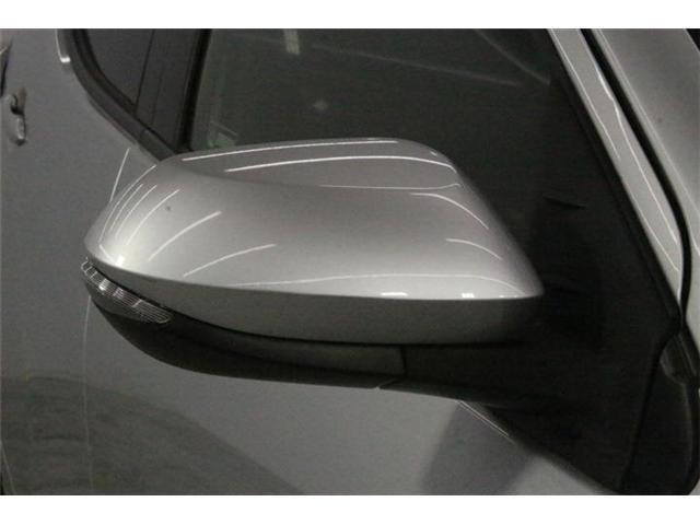 27026705_carP_l_2.jpg