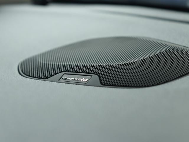 25543943_carP_l_18.jpg