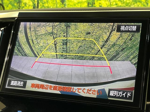 24421478_carP_l_10.jpg